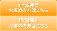 卵・液卵をお求めの方はこちら