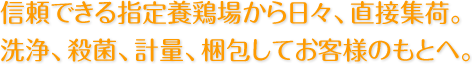 信頼できる指定養鶏場から日々、直接集荷。洗浄、殺菌、計量、梱包してお客様のもとへ。